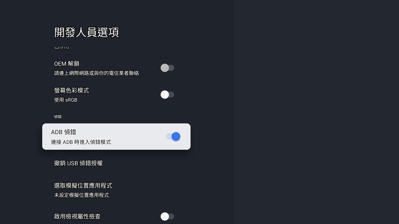 在電視開發人員選項中開啟 USB 偵錯開關